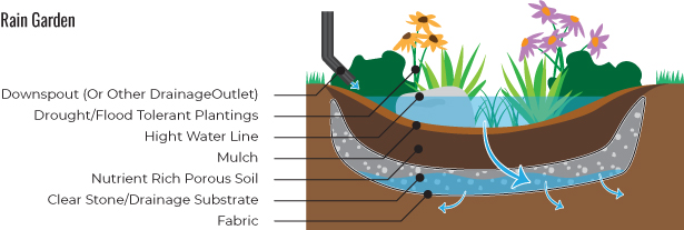 A graphic section showing how a rain garden is installed