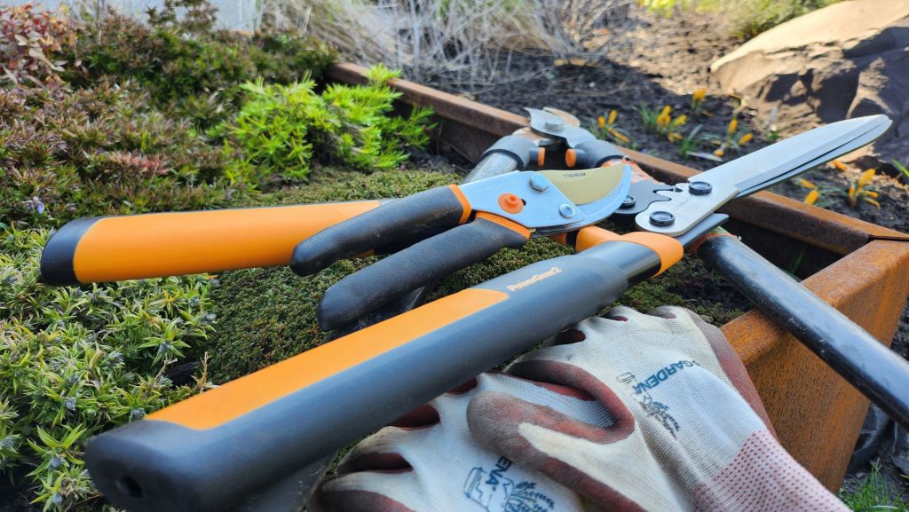 A photo of garden pruning tools sitting in a garden